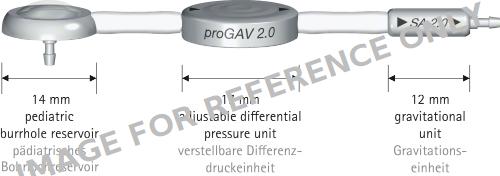 PROGAV 2.0 W/SA2.0 20 & PED.BURRHOLE RES-null