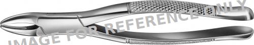 Tooth Forceps, American Pattern-null