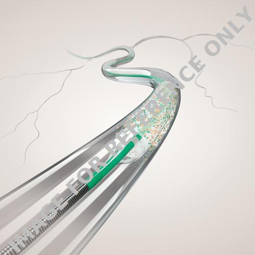 Official B. Braun SeQuent Please Ascend product image